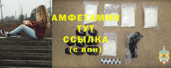 прущие грибы Балабаново
