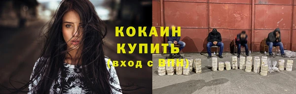 крисы Аркадак