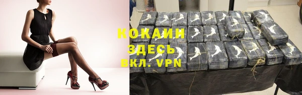 прущие грибы Балабаново