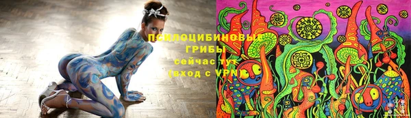 прущие грибы Балабаново